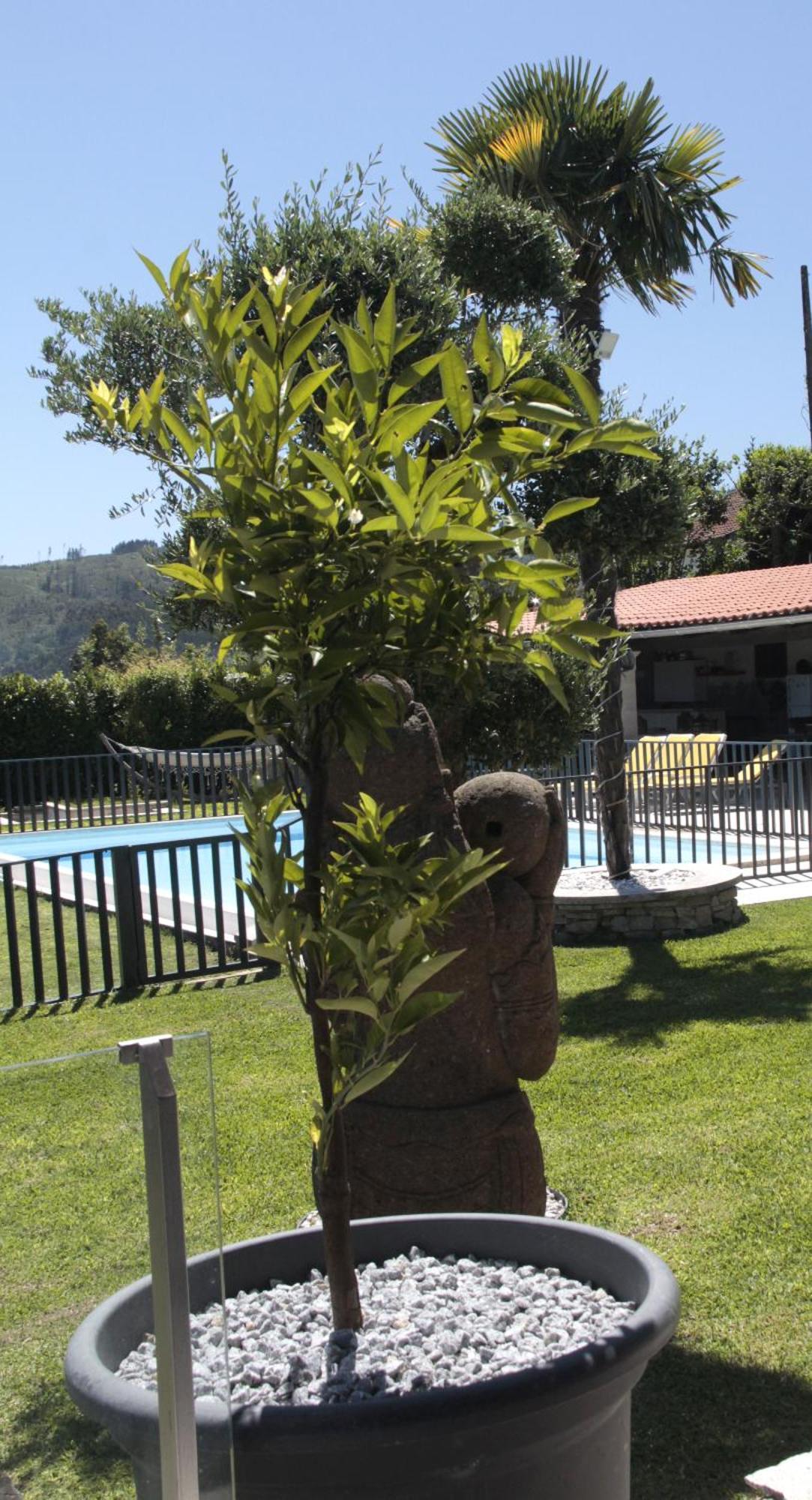 Holiday home Casa Bella Vista Fafe